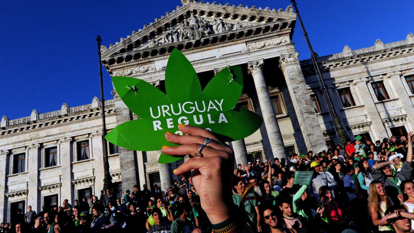 В уругвае легализовали марихуану тор браузер для пк попасть на гидру